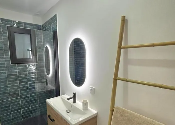 T2 Neuf Jardin Proche Arena Plages Zenith * Pérols